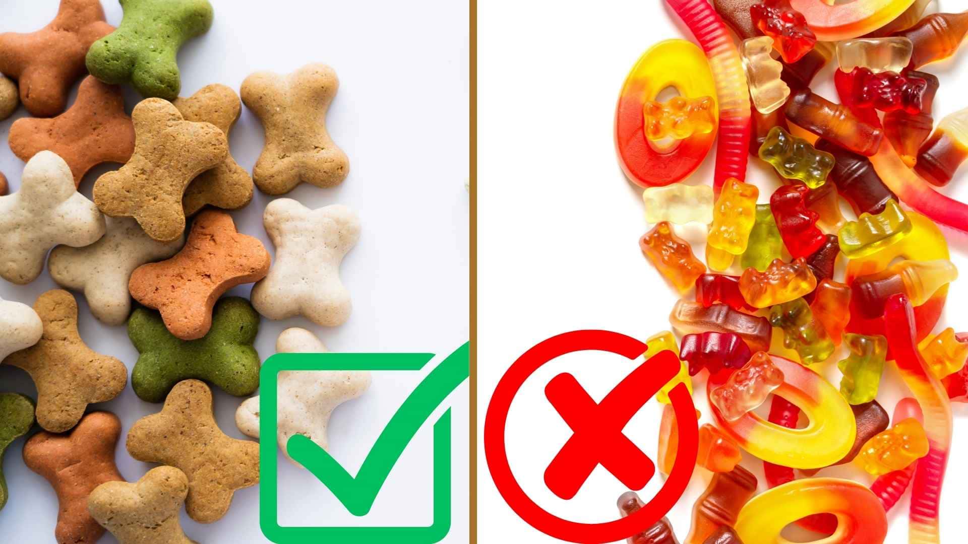 chuches para perros vs golosinas